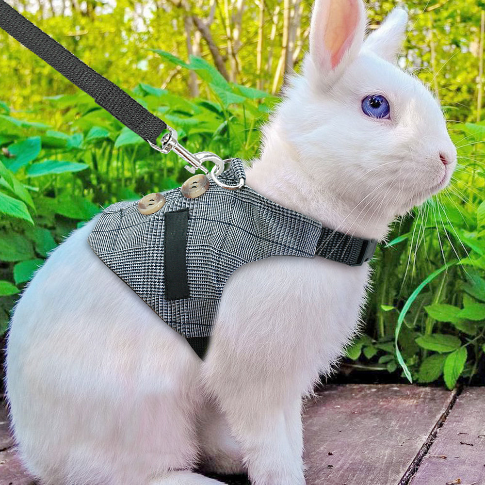 Rabbit leash rabbit dress - Pets Crazy Shops