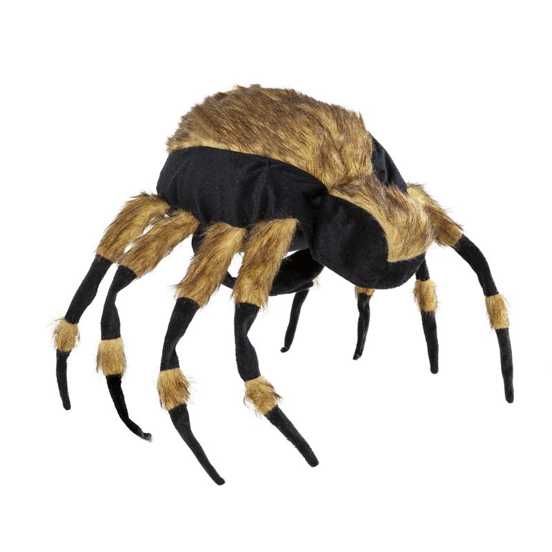 Pet Spiders Change Costumes - Pets Crazy Shops
