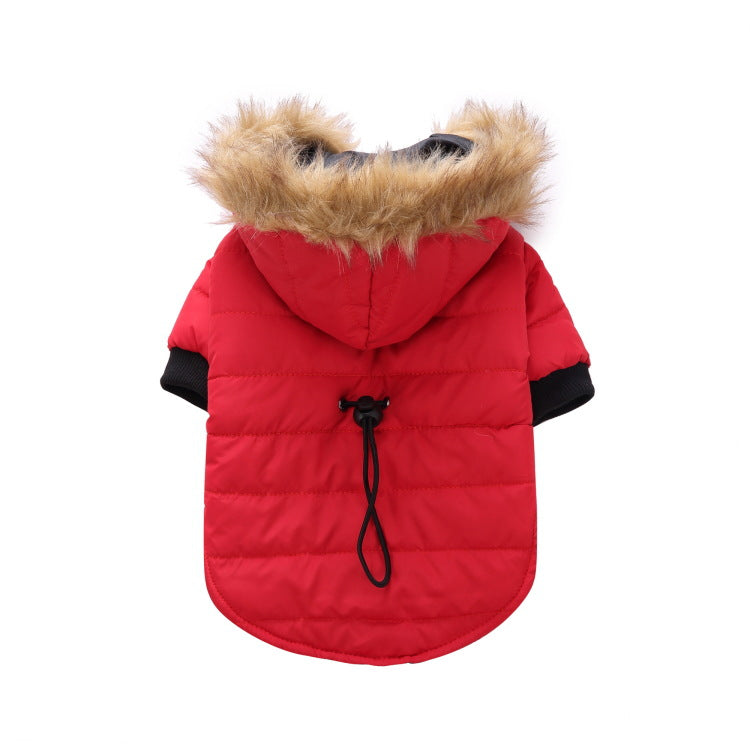 Winter clothing for pets - Pets Crazy Shops