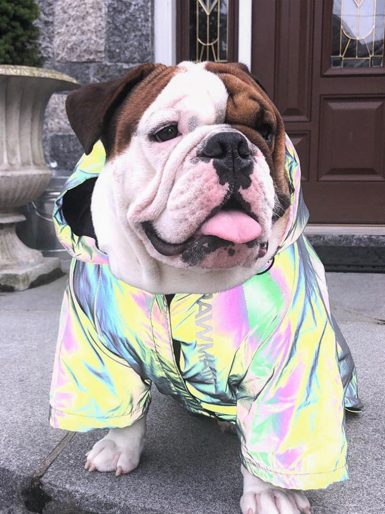 Microcrystalline reflective dog clothes - Pets Crazy Shops
