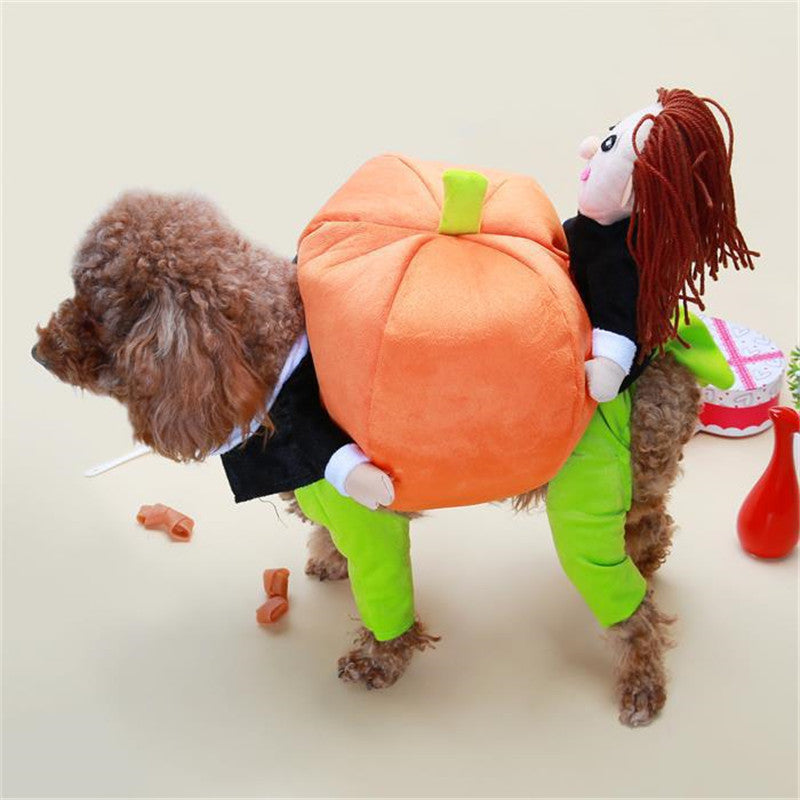 Pet Halloween Pumpkin Decorations for Clothes - Pets Crazy Shops