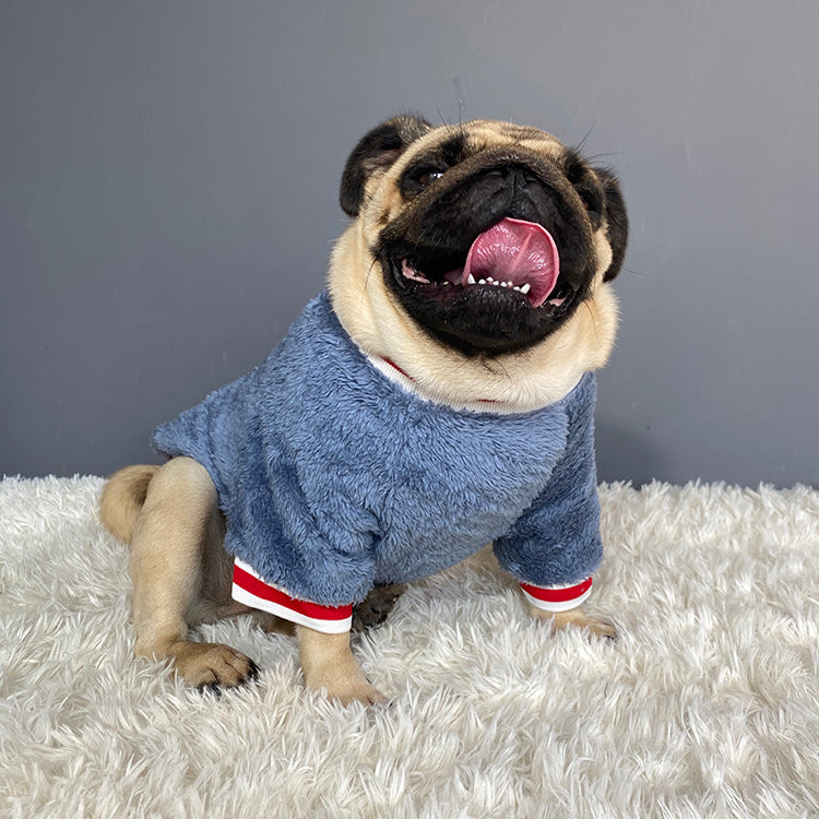 Pet sweater - Pets Crazy Shops