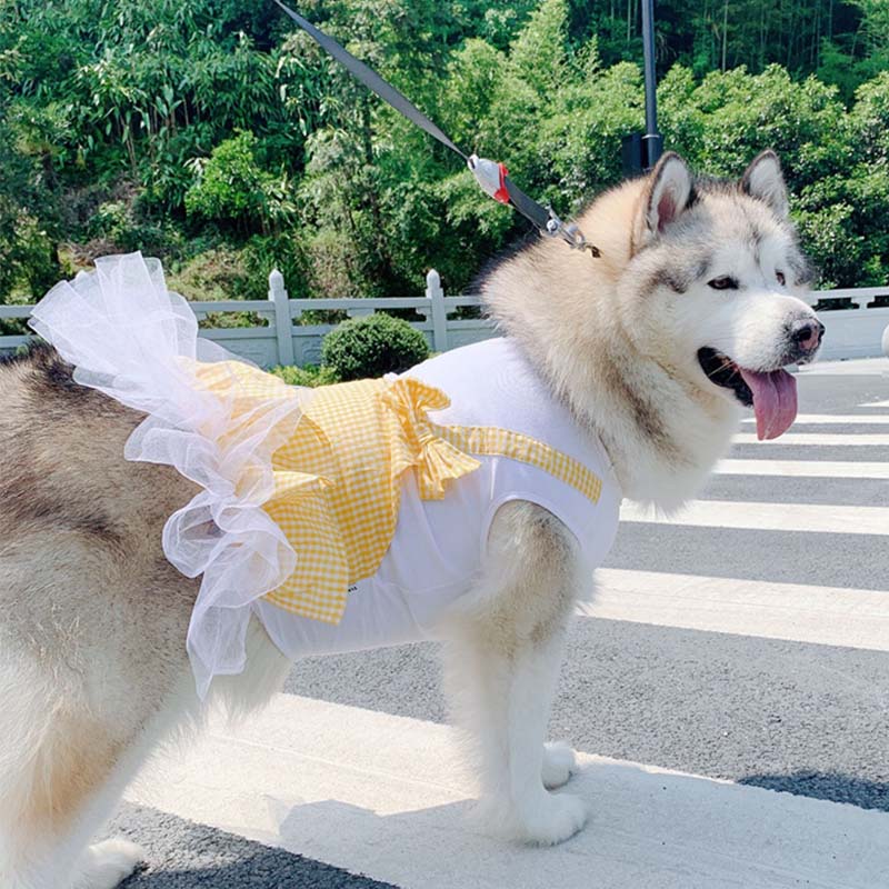Dog Clothes Princess Dog Costume Labrador Golden Retriever Big Dog Clothes - Pets Crazy Shops