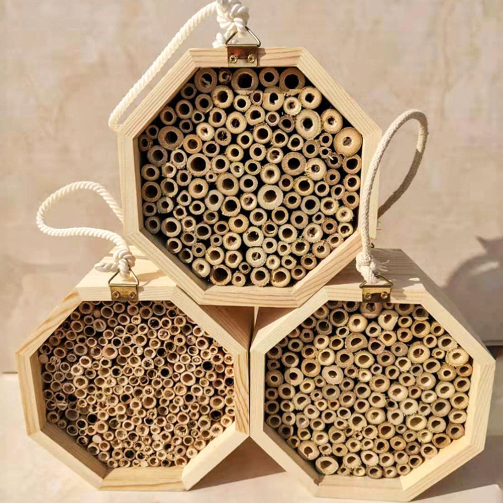 Wooden Bee Breeding Box Combination - Pets Crazy Shops