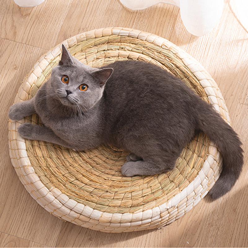 Teng Wok Felt House Cat Bed - Pets Crazy Shops