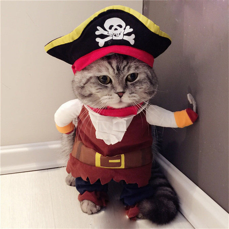 Teddy Pirate Transformed Into Pet Costume - Pets Crazy Shops