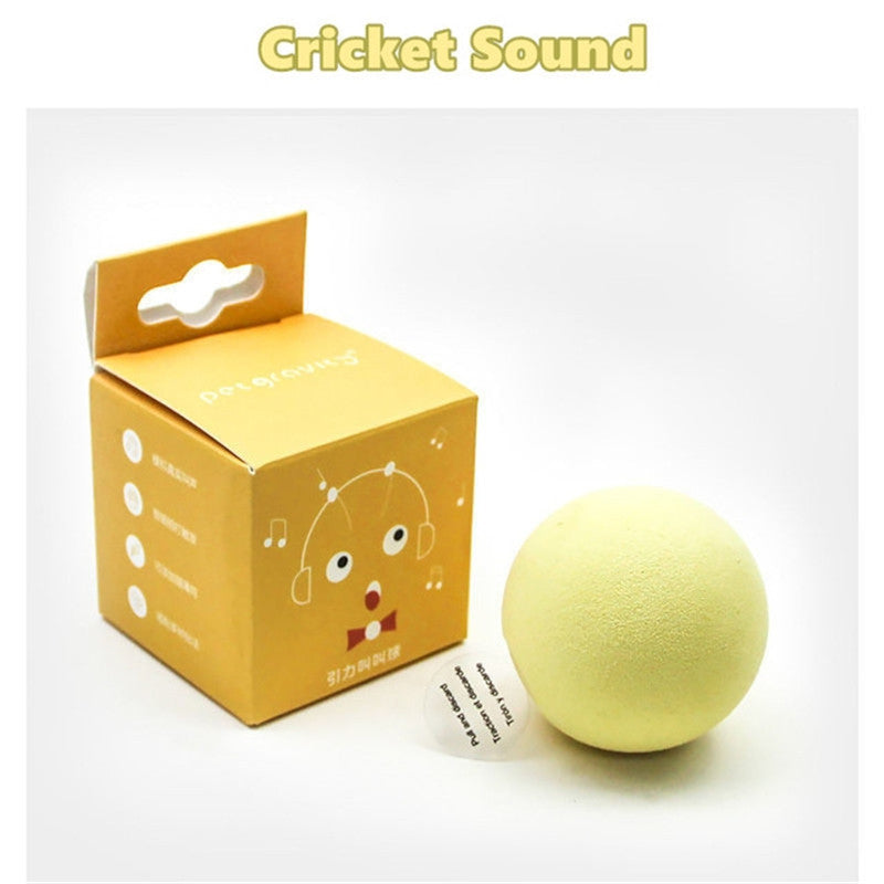 Smart Cat Toys Interactive Ball Catnip Cats Toy Playing Ball - Pets Crazy Shops