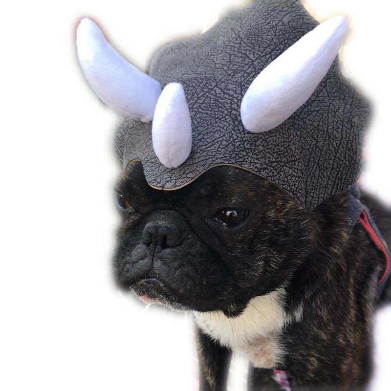 Pet Triceratops Dog Dinosaur Hat Pet Cat Dog Hat Pet Transformation Cap Pet Headgear Costume - Pets Crazy Shops