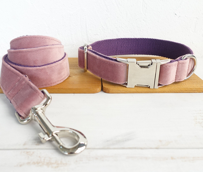 Dog leash pet collar - Pets Crazy Shops