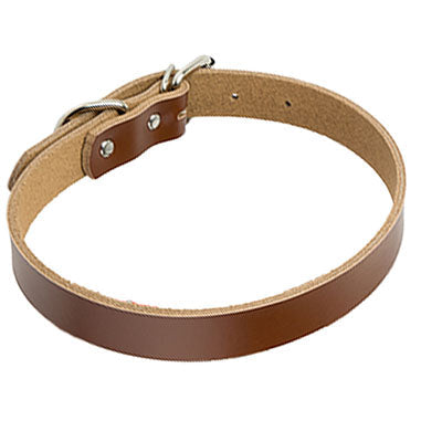 Leather dog collar dog chain - Pets Crazy Shops