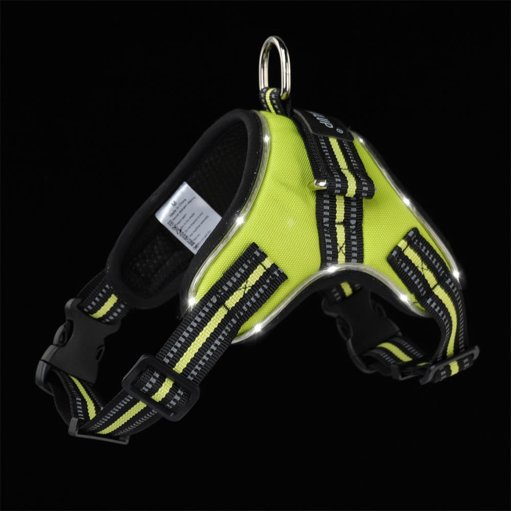 Glowing dog collar - Pets Crazy Shops