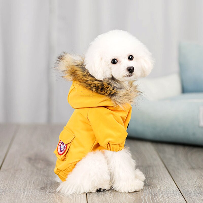 Pet dog clothes wool hat clothes cotton clothes - Pets Crazy Shops