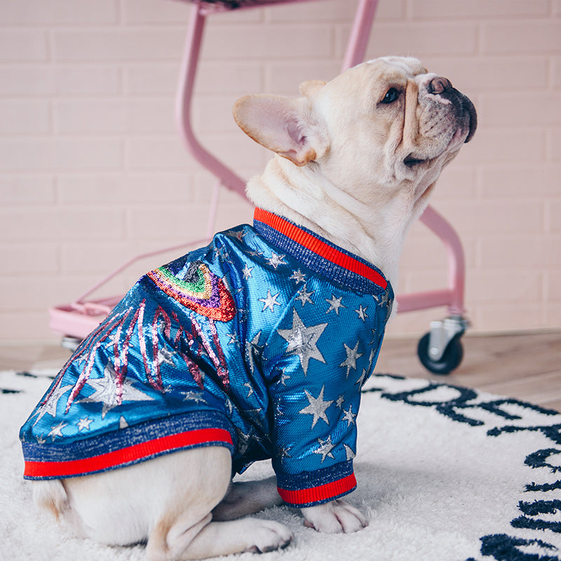 Dog jacket clothes - Pets Crazy Shops