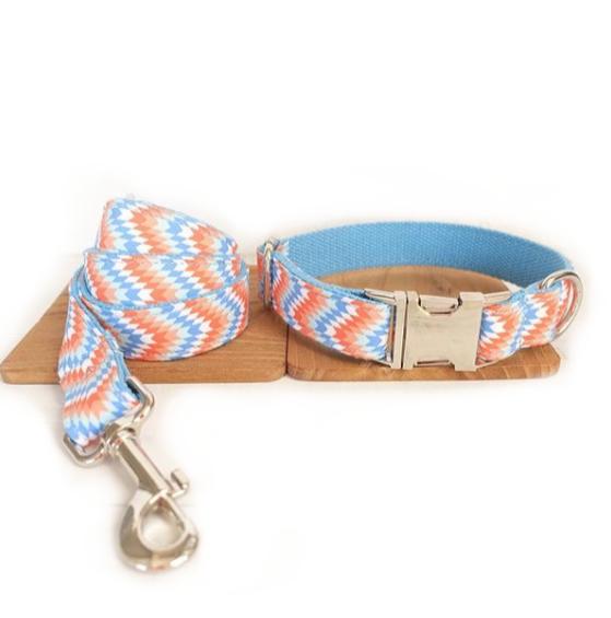 Money loop dog leash set portable dog running leash rope - Pets Crazy Shops