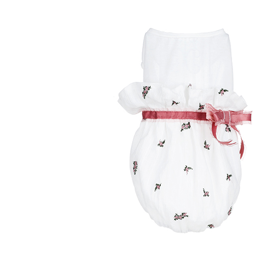 Pet cat clothes - Pets Crazy Shops