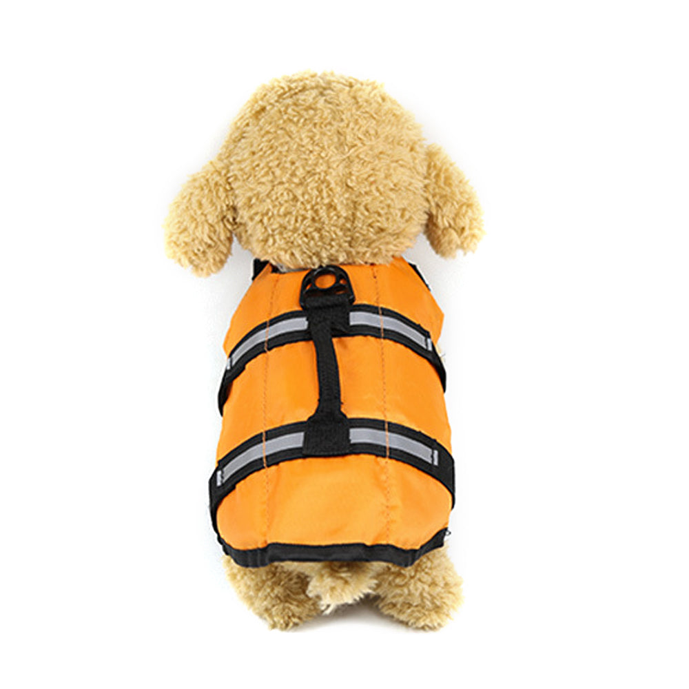 Large and small dogs - Pets Crazy Shops