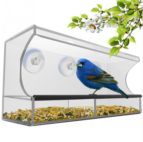 New acrylic feeder - Pets Crazy Shops