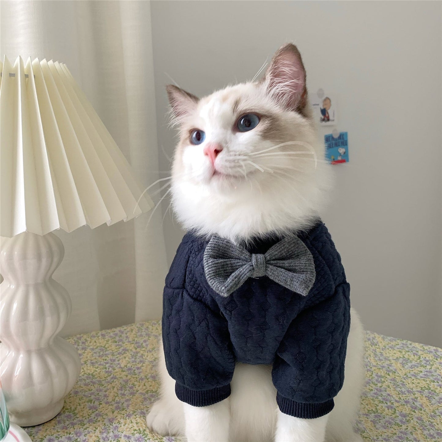 Warm And Cute Clothes For Pets Feet - Pets Crazy Shops