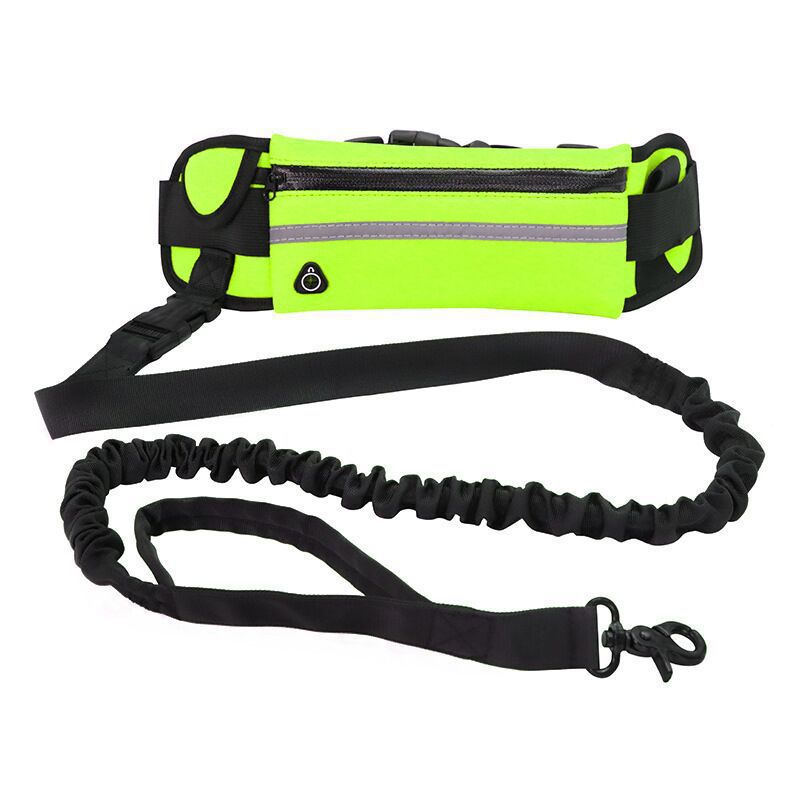 Pet Purse Leash For Dog Walking - Pets Crazy Shops