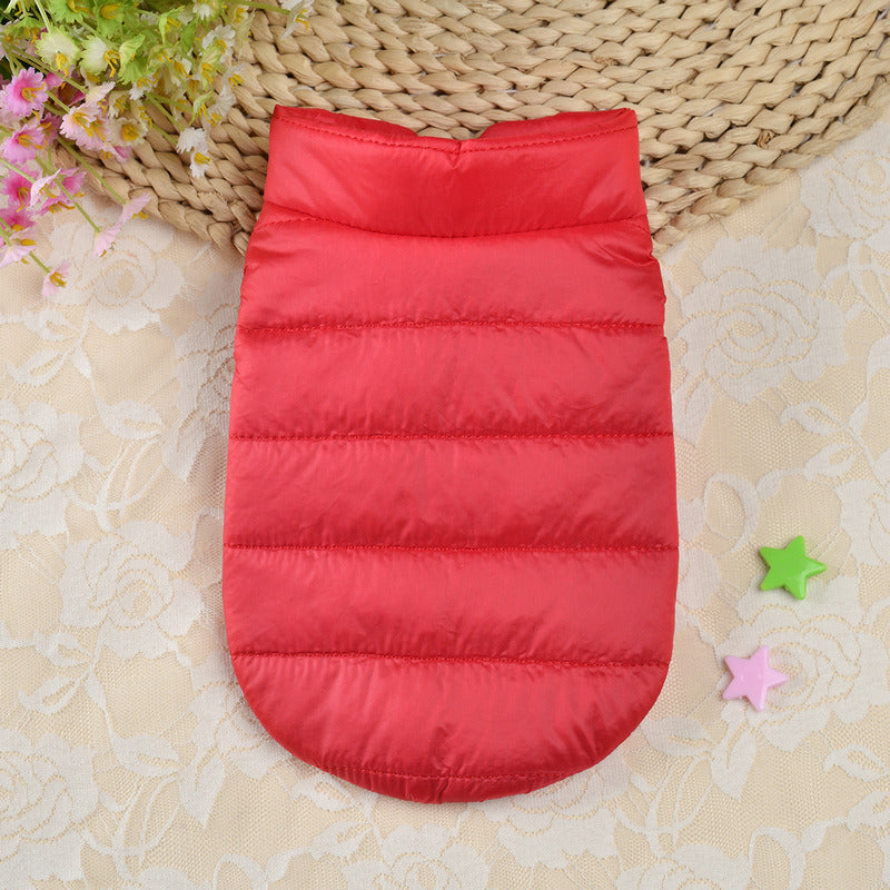Small Dog Teddy Autumn Autumn Winter Cat Thermal Padded Coat - Pets Crazy Shops