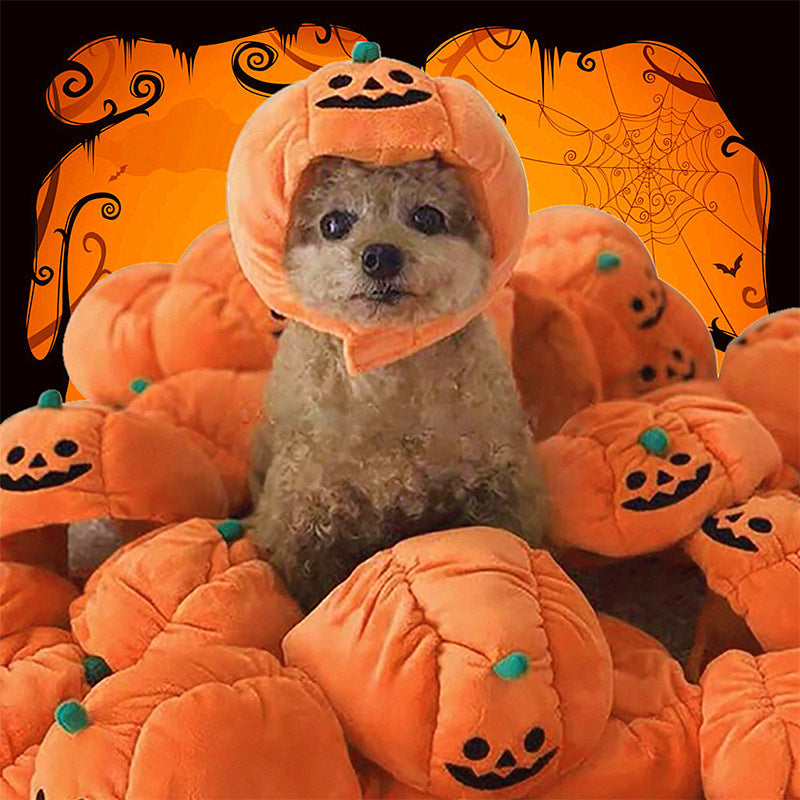 Pet Hat Halloween Funny Pumpkin Hat Cute Pet Animal Costume - Pets Crazy Shops