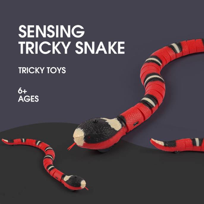 Interactive Electric Induction Snake Funny Cat Toy - Pets Crazy Shops