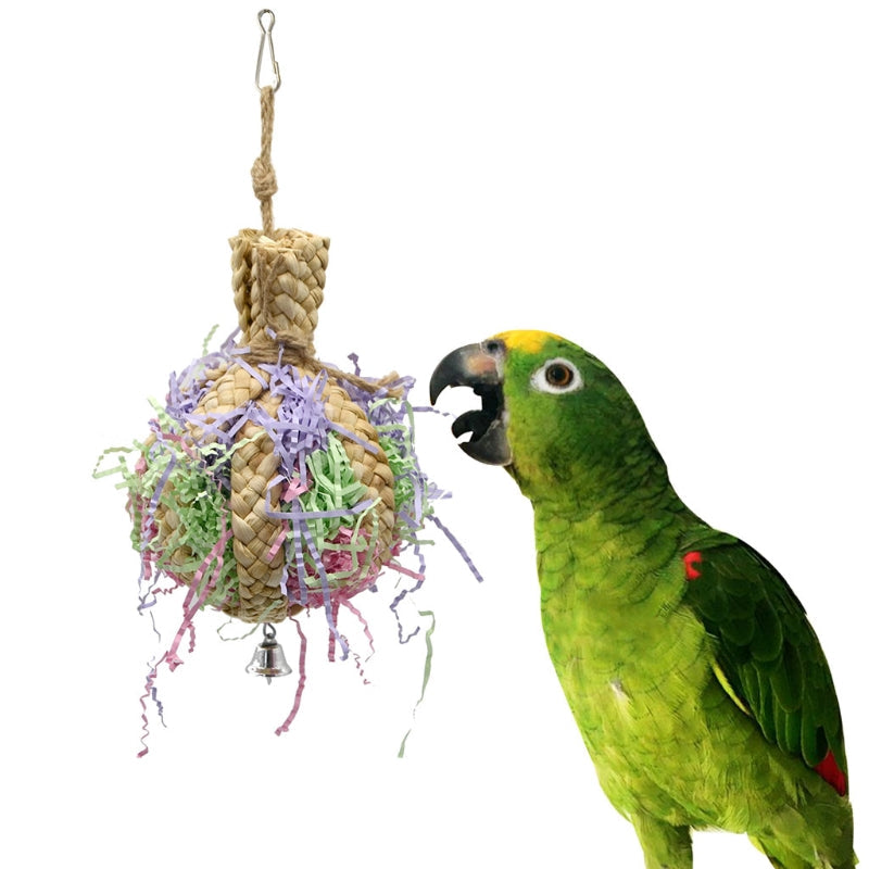 Drawing Straw Rope Toy Parrot Paper - Pets Crazy Shops