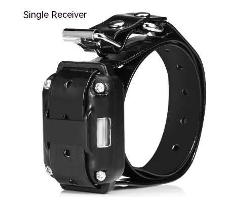 Remote Control Dog Training Device Dog Collar - Pets Crazy Shops