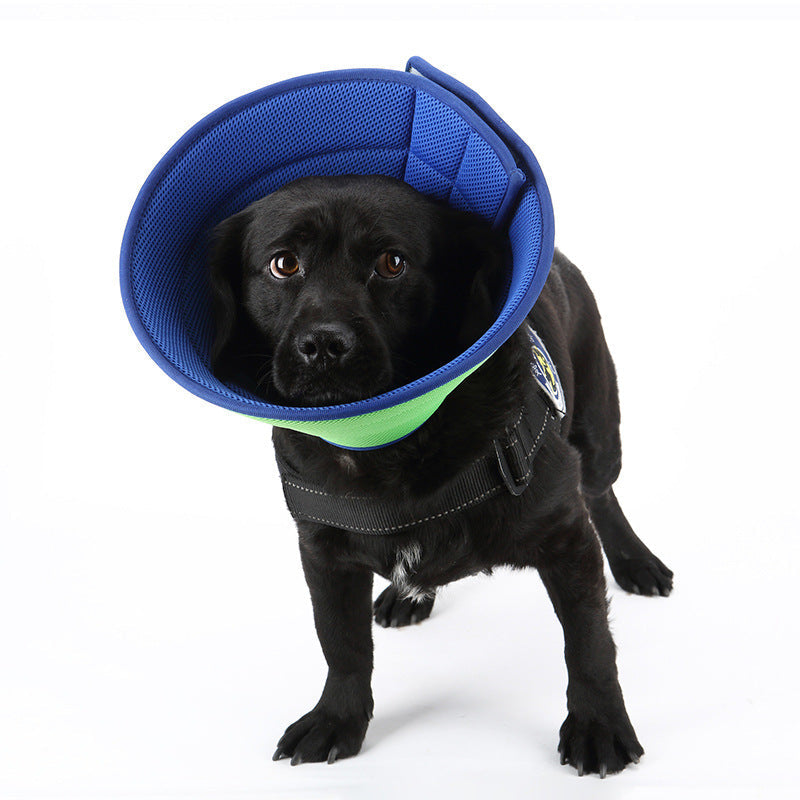 Dog Cat Anti-bite Collar Pet Medical Recovery Collars Transparent Pets Protection Cover Elizabethan Collar Circle For Pet Supplies - Pets Crazy Shops