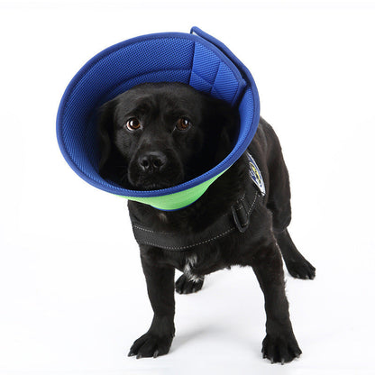 Dog Cat Anti-bite Collar Pet Medical Recovery Collars Transparent Pets Protection Cover Elizabethan Collar Circle For Pet Supplies - Pets Crazy Shops