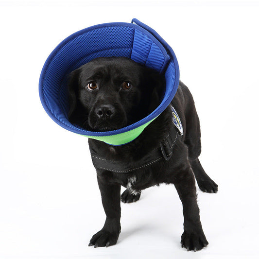 Dog Cat Anti-bite Collar Pet Medical Recovery Collars Transparent Pets Protection Cover Elizabethan Collar Circle For Pet Supplies  -  - Pets Crazy Shops -