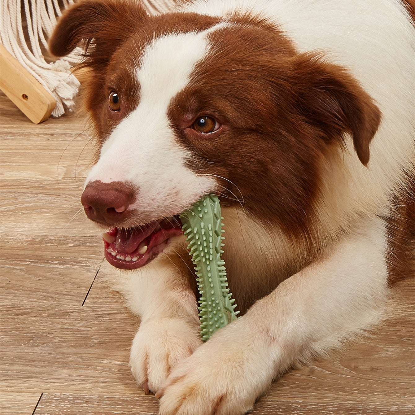 Chewing Dog Chew Toys Dog Toothbrush Teeth Cleaning Kong Dog Toy Pet Toothbrushes Brushing Stick Pet Supplies Puppy Toys - Pets Crazy Shops