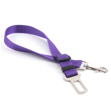 Fixed Strap Polyester Dog Strap Dog Leash Dog Leash - Pets Crazy Shops