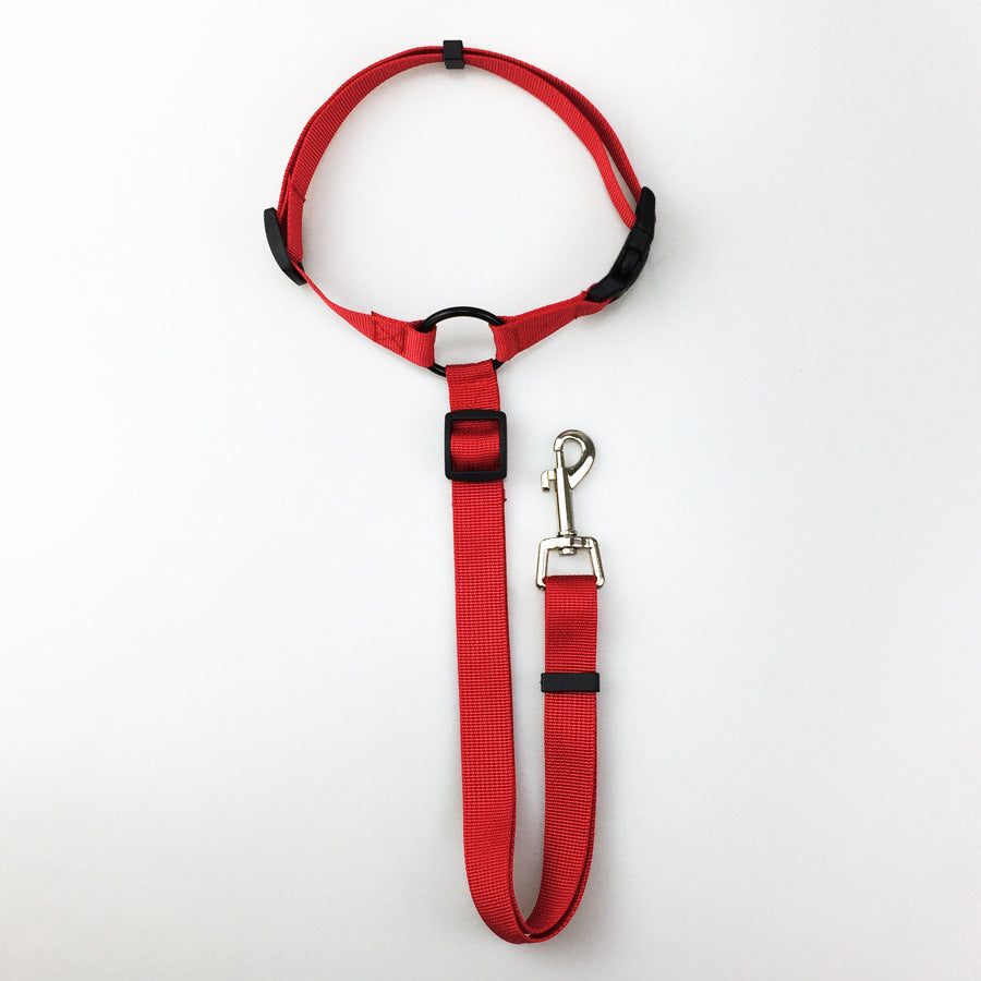 Pet safety leash - Pets Crazy Shops