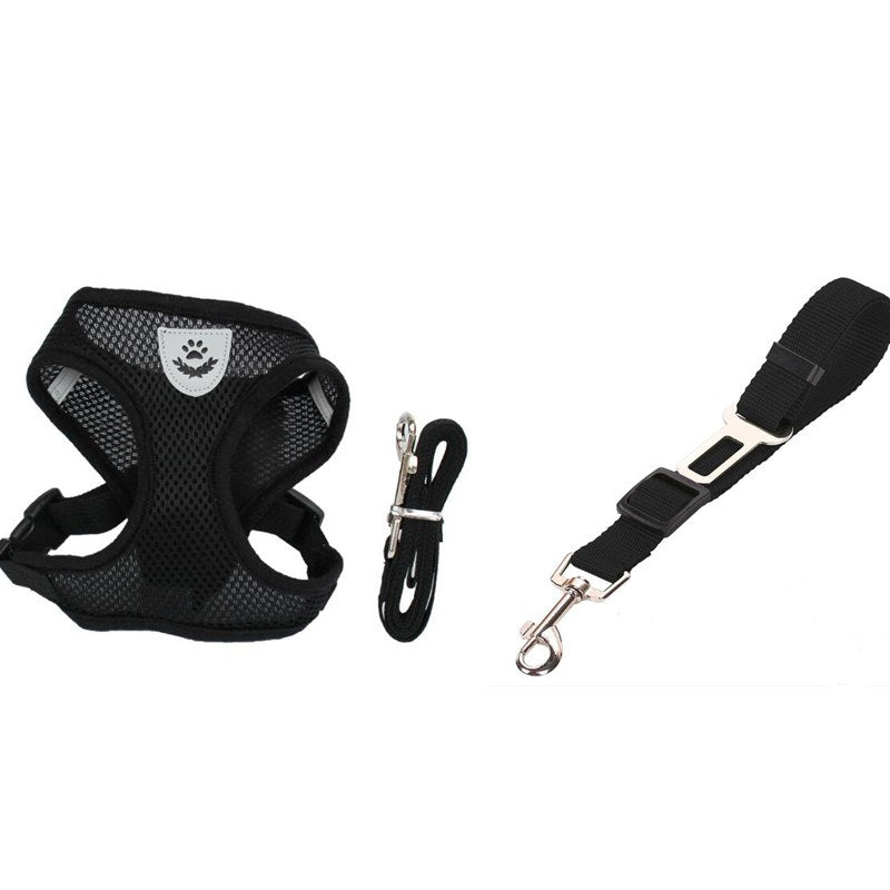Pet Car Seat Belt Pet Leash - Pets Crazy Shops