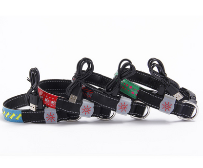 LED light collar pet collar - Pets Crazy Shops
