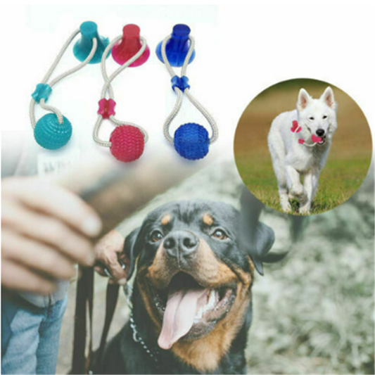 Dog Biting Sucker Multifunction Pet Molar Bite Toy - Pets Crazy Shops