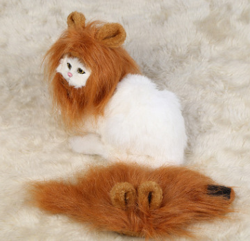Funny Pet Hat For Small Dogs Cats Hat Emulation Lion Hair Mane Ears Head Cap Scarf Pet Halloween Festival Costume - Pets Crazy Shops