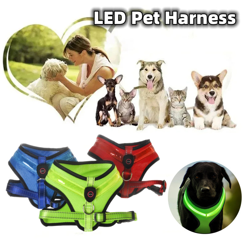 LED Luminous Dog Harness Led USB Charging Dog Chest Strap Vest Pet Safety Reflective Harness Pet Vest For Puppy Large Dog Pet Products - Pets Crazy Shops
