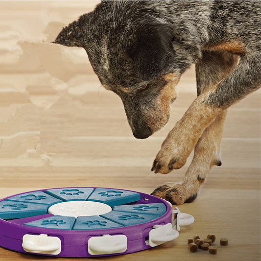 Dog educational toys - Pets Crazy Shops
