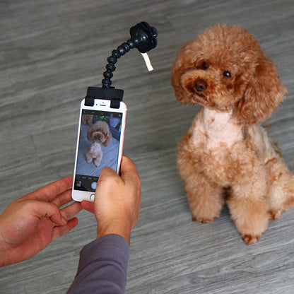 Pet Selfie Stick Pet Supplies Toys Pet Selfie Artifact - Pets Crazy Shops