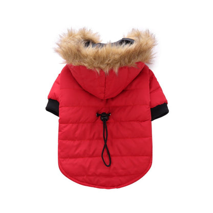 Winter clothing for pets - Pets Crazy Shops