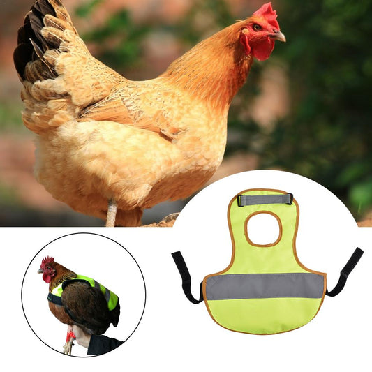 Chicken reflective vest - Pets Crazy Shops