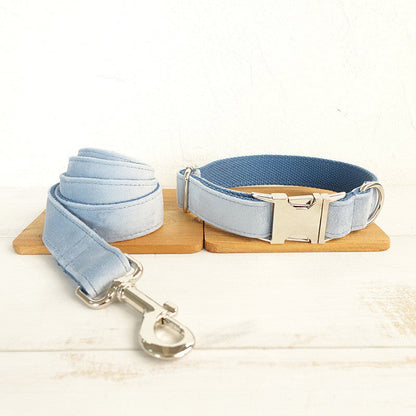 Thick pet collar - Pets Crazy Shops