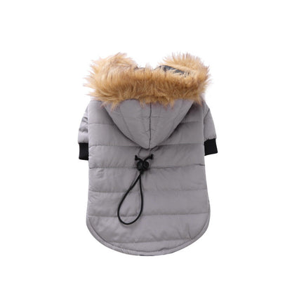 Winter clothing for pets - Pets Crazy Shops