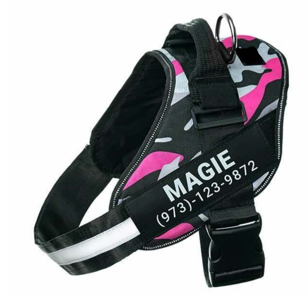 Personalized Custom Reflective Breathable Dog Harness NO PULL Adjustable Pet Harness For Small Large Dog Harness Vest With Patch - Pets Crazy Shops