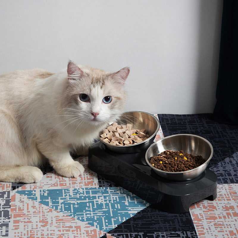 Pet Stainless Steel Bowl Pet Double Night - Pets Crazy Shops