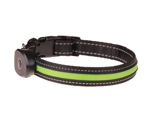 Dog luminous collar - Pets Crazy Shops