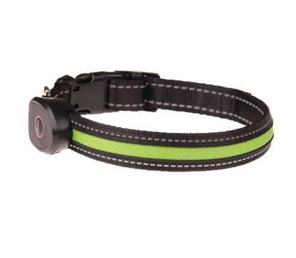 Dog luminous collar - Pets Crazy Shops