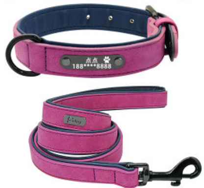 Dog Tag Identity Card Customization - Pets Crazy Shops